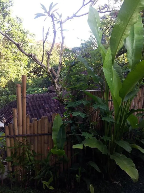 Guest house Sun House Hotel Ubud